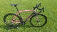 Specialized Tarmac S-Works Celebrazione, limitiertes Sondermodell Kr. München - Oberschleißheim Vorschau