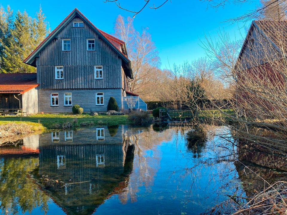 Urlaub / Ferien im Harz - Altes Forsthaus im Harz in Elbingerode (Harz)