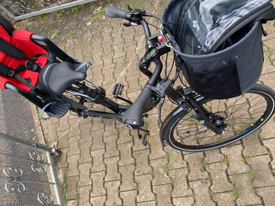 Damenrad pegasus kein ebike KTM haibike Damen Trekking Rad  toure in Schöntal