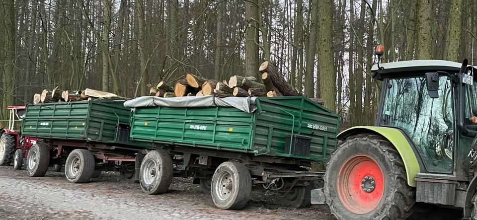 Transport Schüttgüter Kies Holz RC Boden in Nordwestuckermark