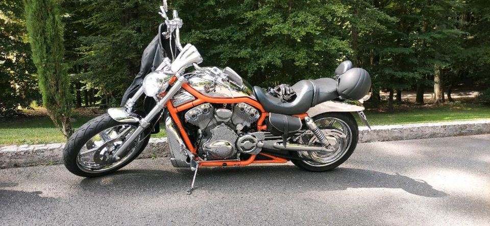 Harley Davidson V ROD / VRSCB in Bickenbach