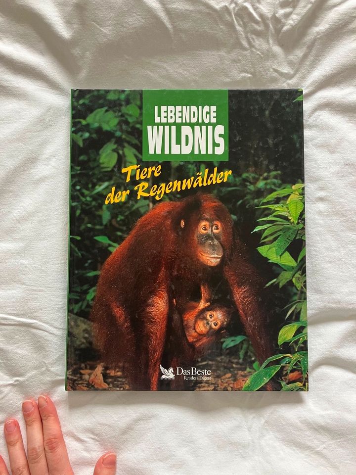 Buch: Lebendige Wildniss - Tiere des Regenwaldes in Würzburg
