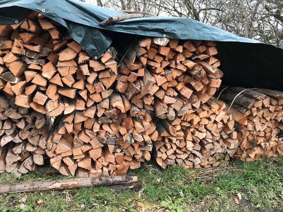 Brennholz Nadelholz Fichtenholz Kiefenholz Feuerholz Heimatholz I in München