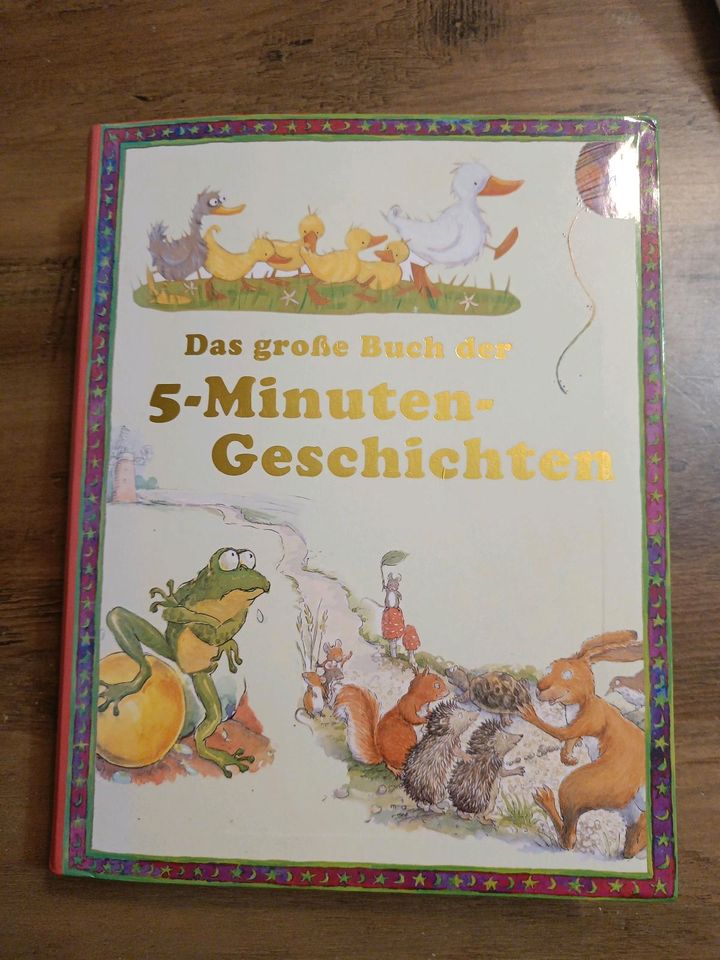 Buch, Das große Buch der 5-Minuten-Geschichten in Geratskirchen