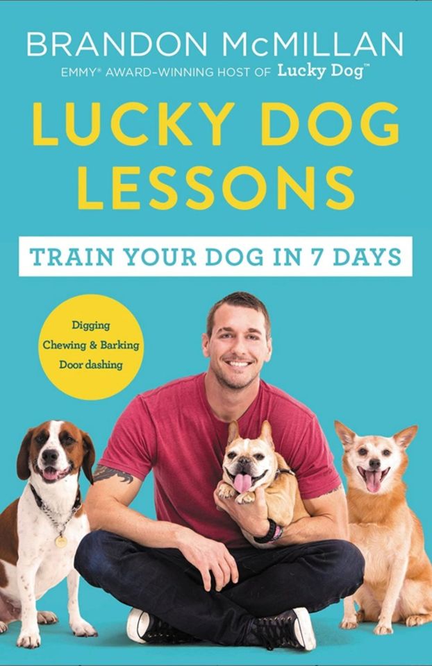 Brandon McMillan: lucky dog lessons in Magdeburg
