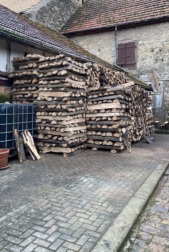 Brennholz Buche in Gauersheim