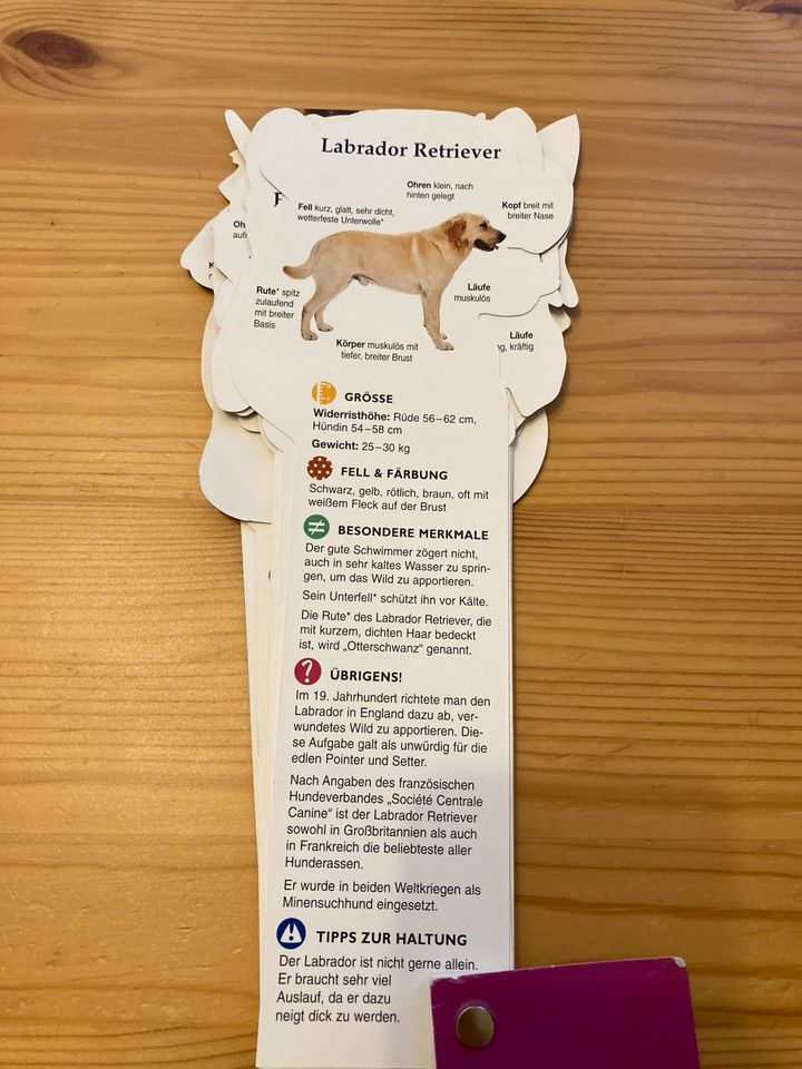 Fandex Hunderassen Hundelexikon Buch Fächer Dog Geschenkidee in Selters