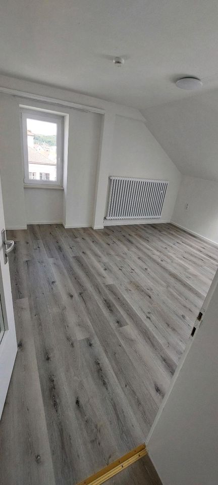 Neu Renovierte 1,5 Zi. Wohnung zur Miete in Lörrach Stadtmitte in Binzen
