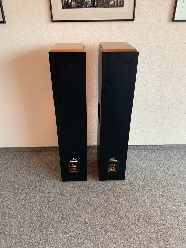 Parasound SP - 1 und SP - 2 High End Surround System Lautsprecher in Mindelheim