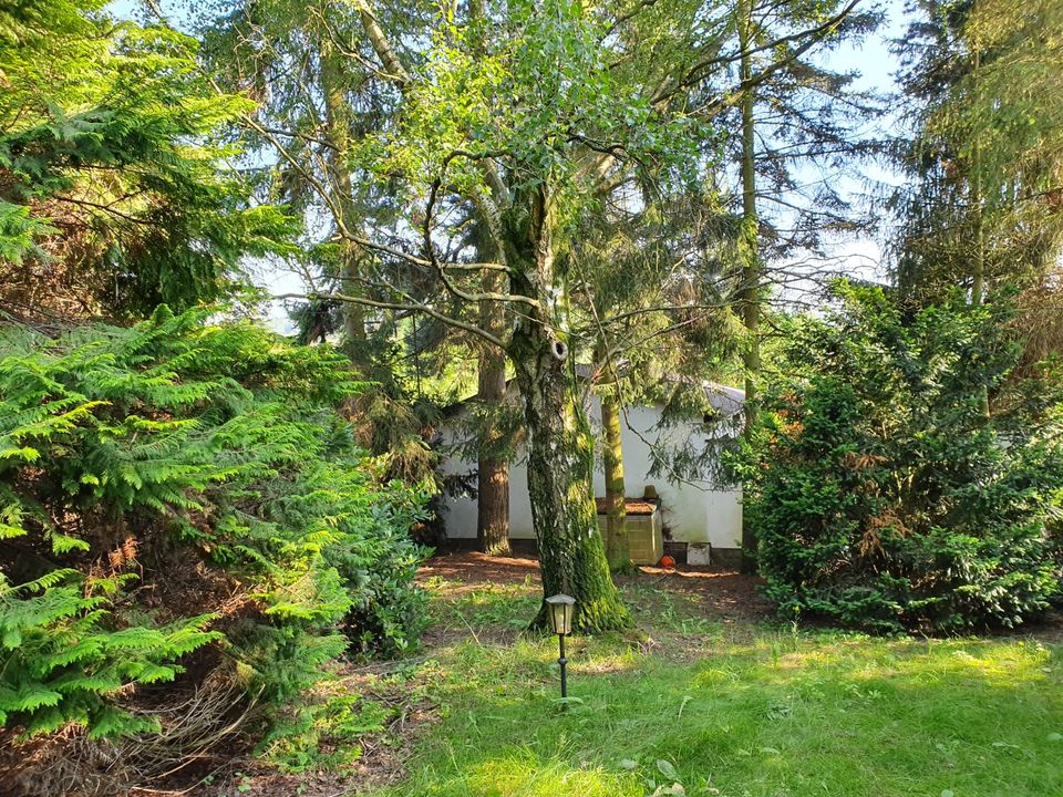 Gartengrundstück (Bauland) mit Bungalow (mit Keller) zu verkaufen in Neuensalz