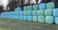 Rundballen Bio Öko 1,35 Heulage Silage Silageballen Siloballen Hessen - Hessisch Lichtenau Vorschau