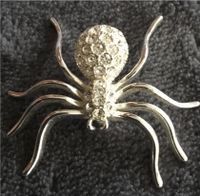 Brosche Modeschmuck,Spinne Silber mit Strass, ca.4 cm wNEU! Buchholz-Kleefeld - Hannover Groß Buchholz Vorschau