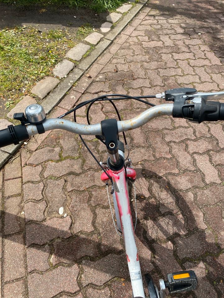 Fahrrad Mädchenfahrrad 18 Zoll Puky Skyrider in Pinneberg