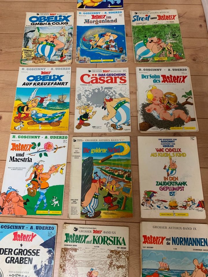 Asterix und Obelix Hefte z.T. Erstausgaben 11 Stück Comic in Rodenbach