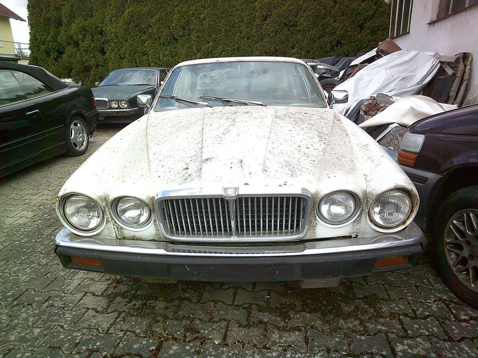 Jaguar XJ 12 z. Ausschlachten/ Teilespender in Edertal