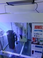 Verkaufe Juwel Lido 120 mit Meerwasser Ausstattung Bayern - Grafenwöhr Vorschau