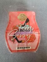 SCENTSY BAR KEEP IT SASSY Nordrhein-Westfalen - Bergkamen Vorschau