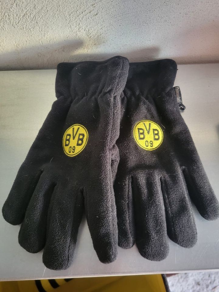 Winterhandschuhe Handschuhe BVB Borussia Dortmund in Saarburg