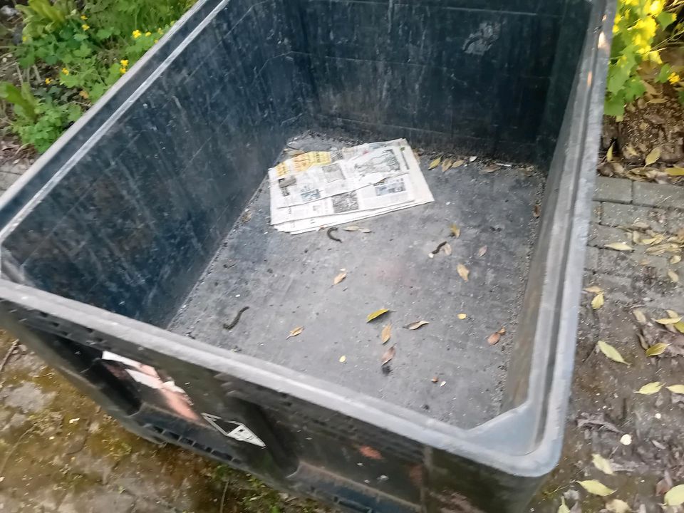 Batterie Box in Rielasingen-Worblingen