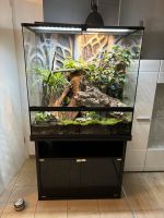 Suche Exo Terra Glas Terrarium 90x45x90 + Exo Terra Unterschrank Nordrhein-Westfalen - Leopoldshöhe Vorschau