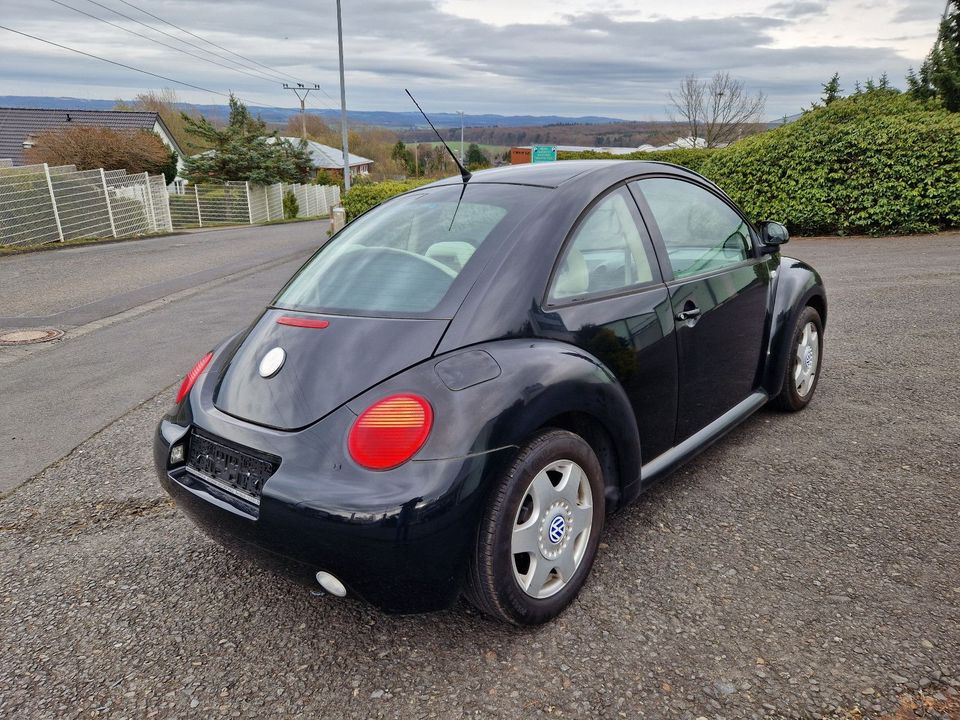 Volkswagen New Beetle Lim. 2.0 Klima in Dernbach