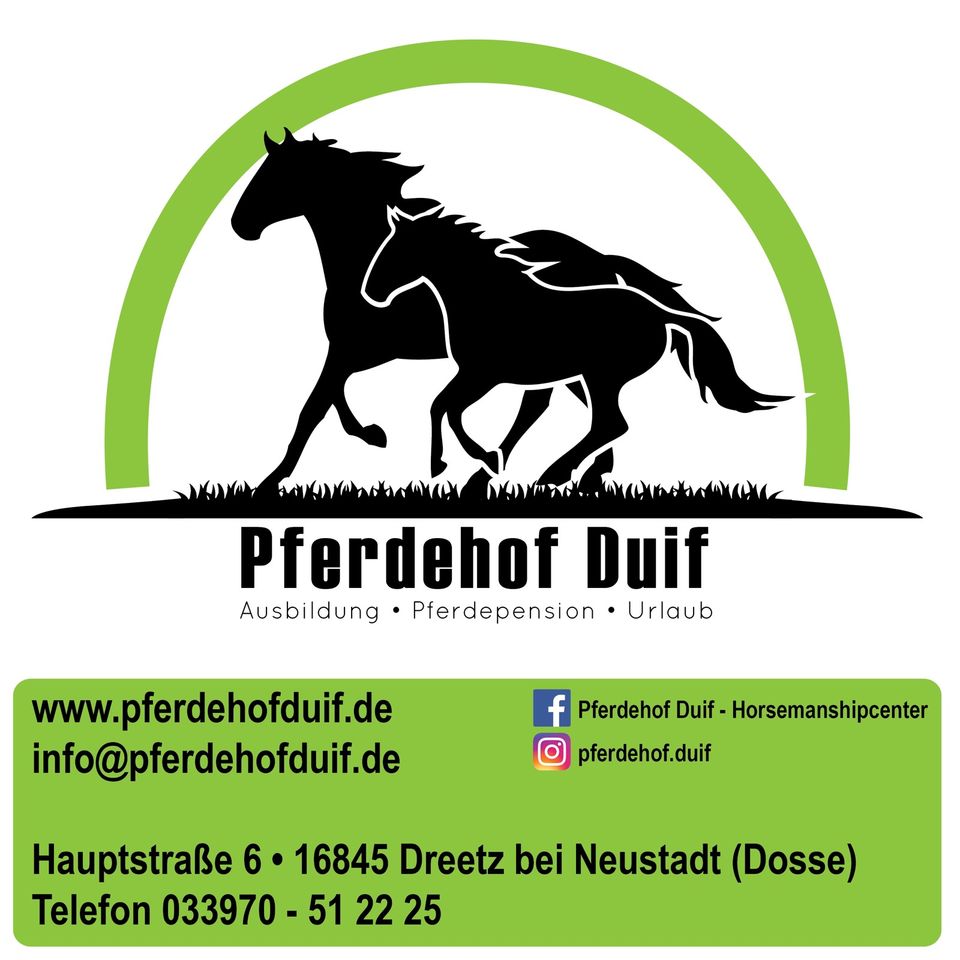 Traumurlaub mit Pferd auf wunderschöner Reitanlage in Neustadt (Dosse)