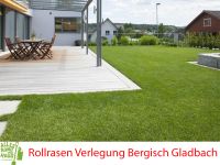 Rollrasen Verlegen / Verlegung inkl Lieferung zum Festpreis BGL Nordrhein-Westfalen - Bergisch Gladbach Vorschau