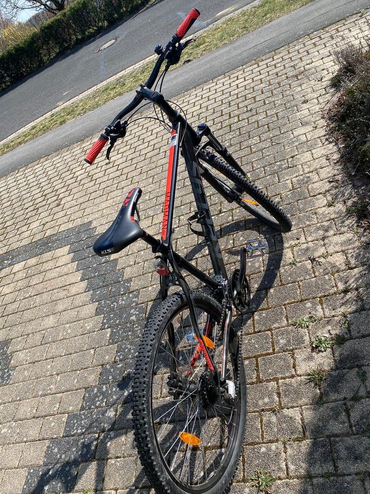 Mountainbike in Ebersdorf