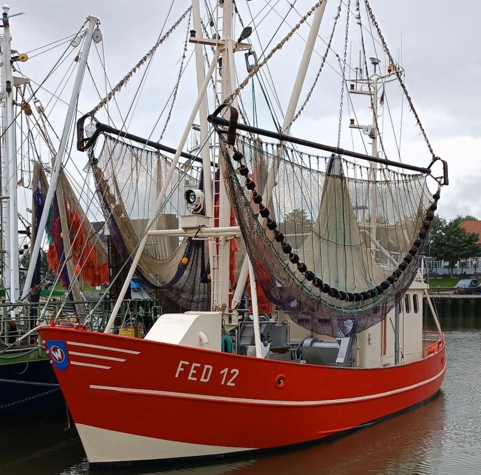 Nordsee Urlaub im Reetdachhaus in Butjadingen