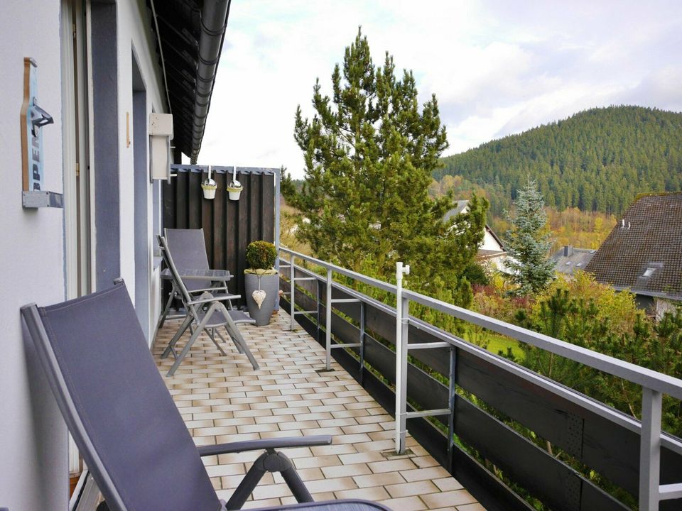 Ferienwohnung Ettelsberg-Panorama (4 P.) Willingen Sauerland Fewo in Willingen (Upland)