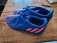 Adidas Predator Edge .4 IN Sapphire Edge Nordrhein-Westfalen - Bottrop Vorschau