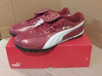 Puma ESITO XL Trainer Fussballschuhe 44.5 Schuhe rio red Bayern - Regensburg Vorschau