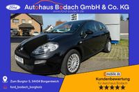 Fiat Punto Pop 1.25 70PS Klima|Kamera Nordrhein-Westfalen - Borgentreich Vorschau