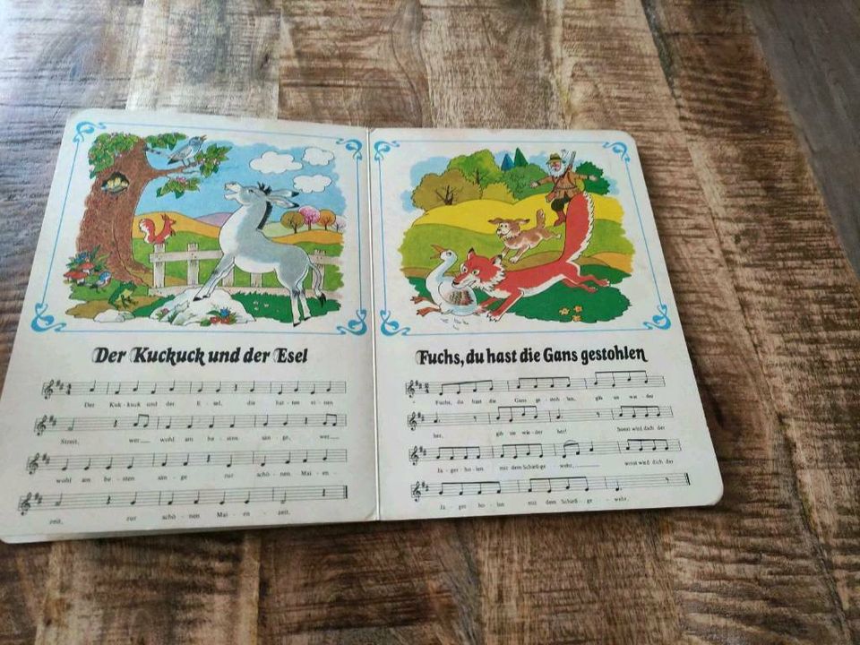 Mein erstes Luvs Liederbuch, Kinderbuch in Knittlingen