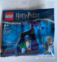 LEGO Harry Potter 30677 Draco im verbotenen Wald OVP Polybag Sachsen-Anhalt - Sandersdorf Vorschau