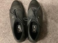 Golf Schuhe Adidas schwarz Grösse 48 Brandenburg - Teltow Vorschau