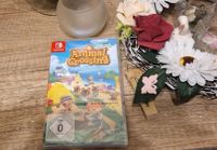 Animal Crossing New Horizons für Switch Sachsen - Plauen Vorschau