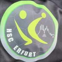 Trainer/in  für Handball Thüringen - Erfurt Vorschau