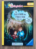 Leserabe * Im Labyrinth der Finsternis * 3.Lesestufe Mildenberger Baden-Württemberg - Meckenbeuren Vorschau