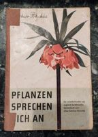 Gärtner Pötschke, Pflanzen sprechen dich an Bayern - Rödental Vorschau