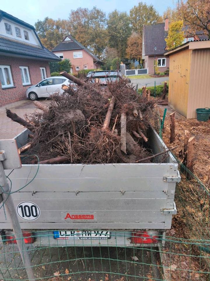 Dienstleistungen mit dem Kleintraktor! Fräsen, Mulchen uvm. in Friesoythe