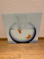 Glasbild Goldfisch 50x50 cm Baden-Württemberg - Sandhausen Vorschau