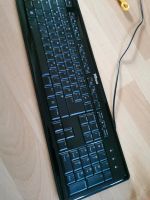 Trust Tastatur, Keyboard, Low Profile Schwerin - Weststadt Vorschau