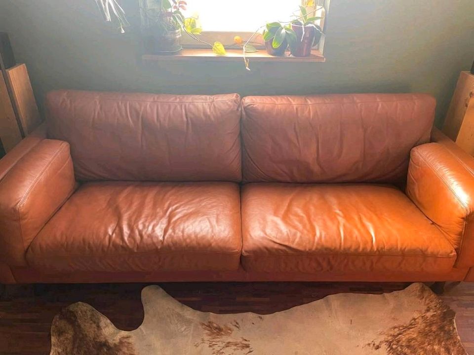 Leder Couch & Sessel Cognac ERPO International in Nierstein