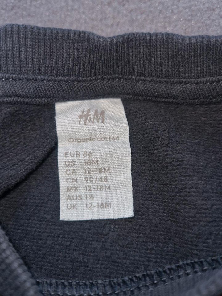 H&M Jogginganzug Gr. 86 in Gifhorn