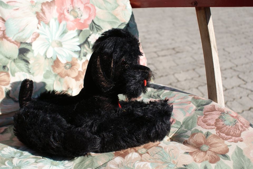 alte Plüschtiere und Puppen in Oberding