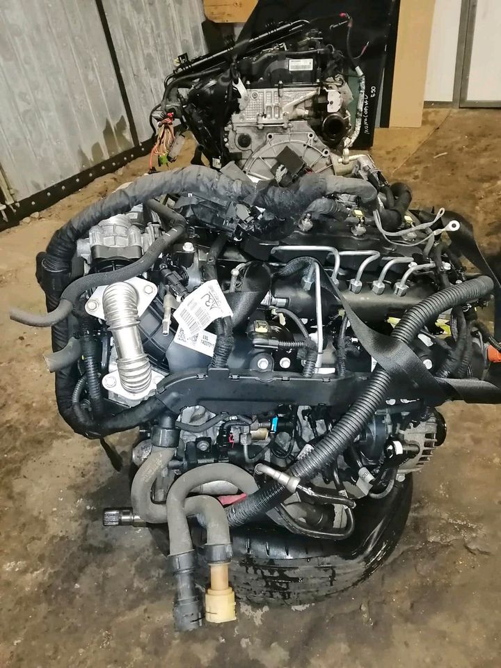 Motor Opel B16DTH B16DTL Insignia Astra Zafira bj2017 Komplett in Mainz