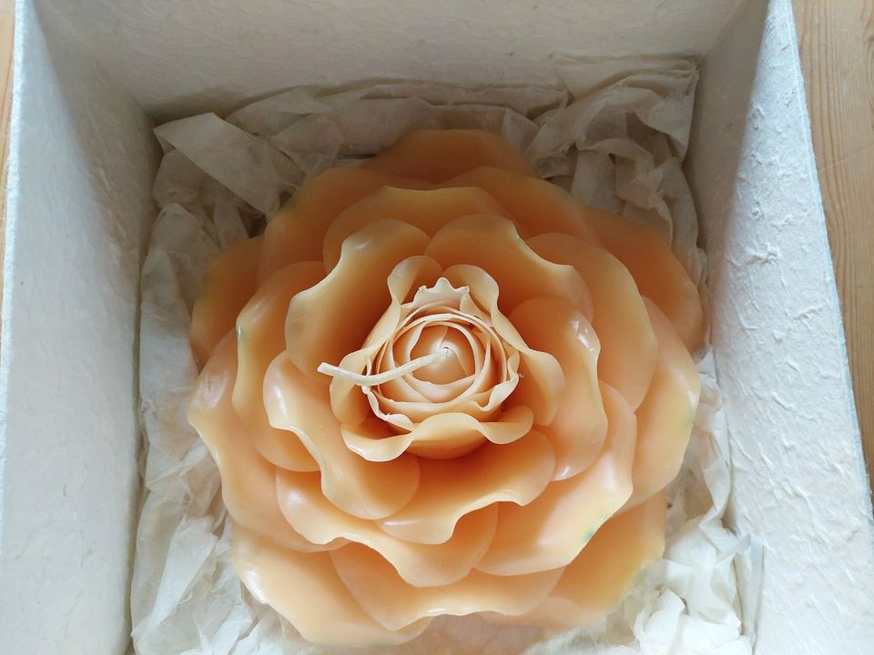 Deko Kerze in Form einer Rose groß in Bad Nauheim