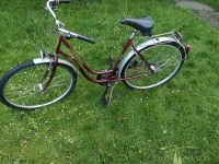 Fahrrad 28 Zoll Nordrhein-Westfalen - Erwitte Vorschau