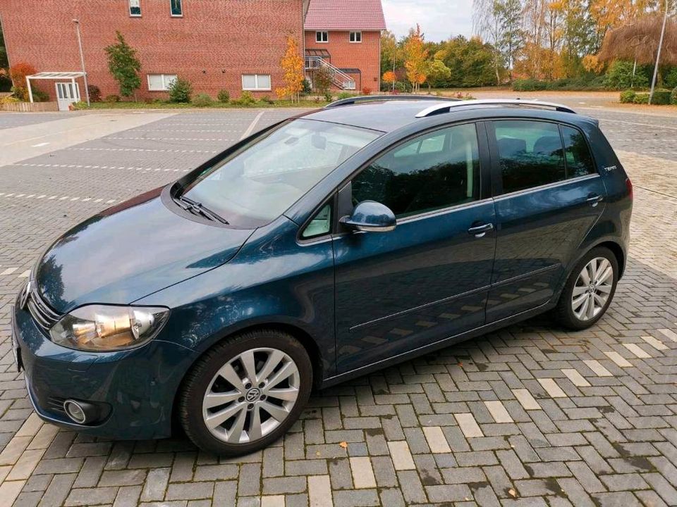 Vw Golf Plus 2.0 TDI     in Cloppenburg